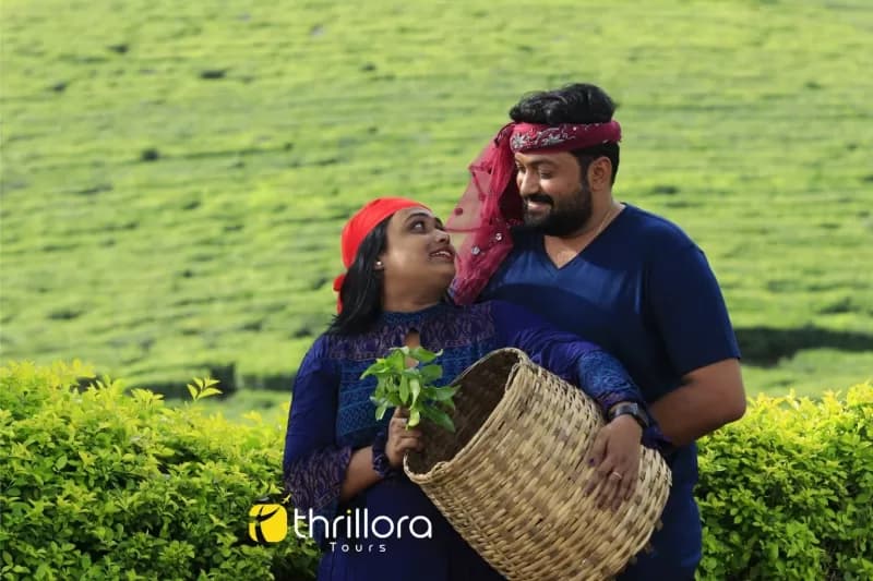 Athirappily Munnar Houseboat Tour