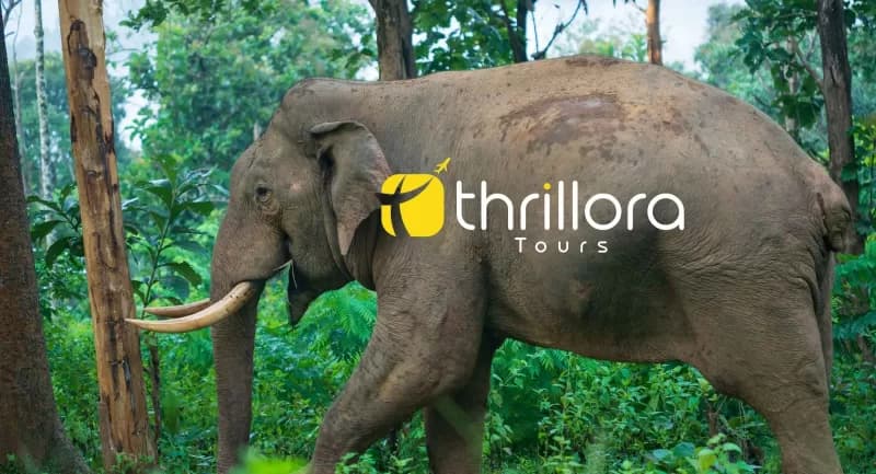 Kerala Tour Packages from Mumbai