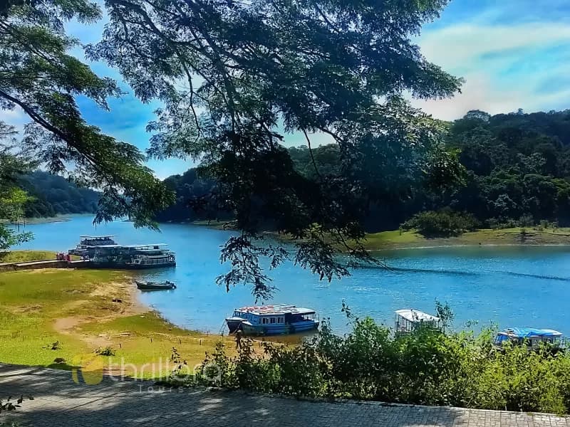 Munnar Thekkady Tour Package