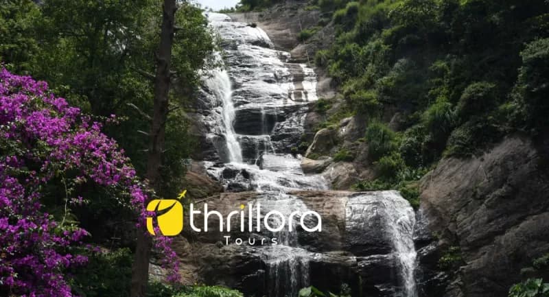 Munnar Luxury Tour Package
