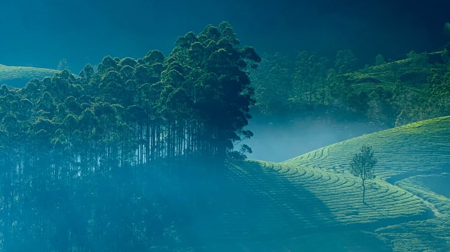 About Thrillora