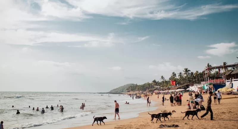 3 Days Varkala Tour Package from Trivandrum