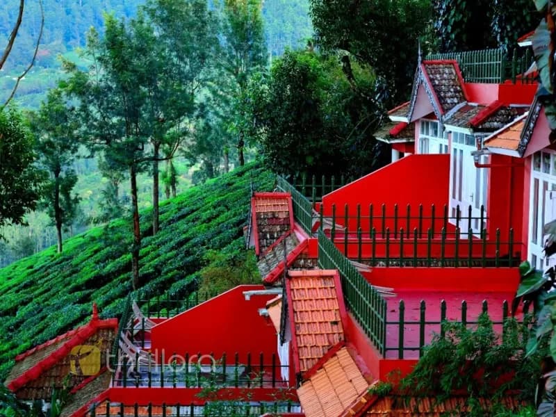 3 Days Munnar Tour Package from Cochin
