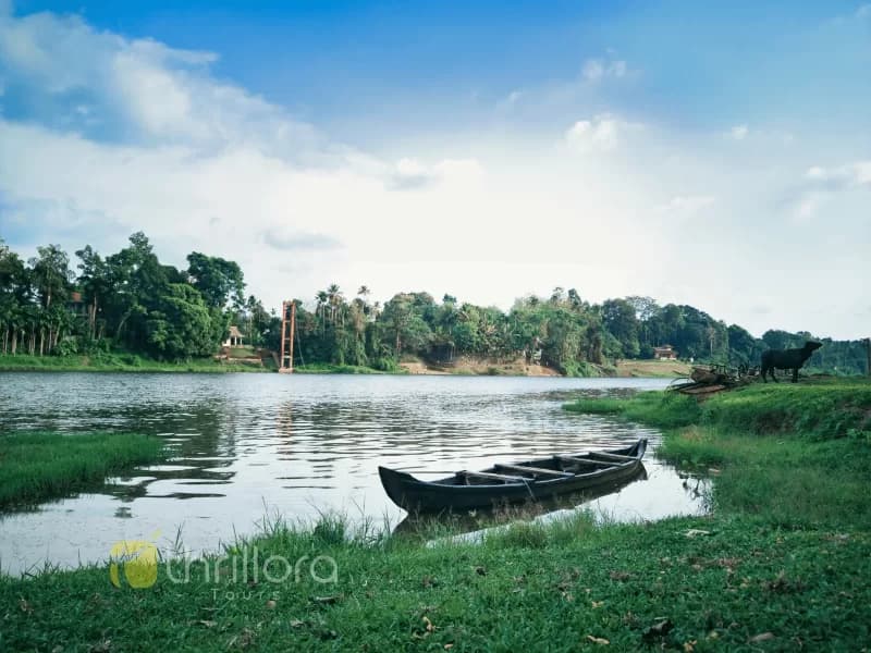 Munnar Tour Package from Chennai