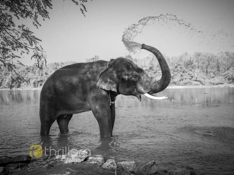 Munnar Tour Package from Chennai